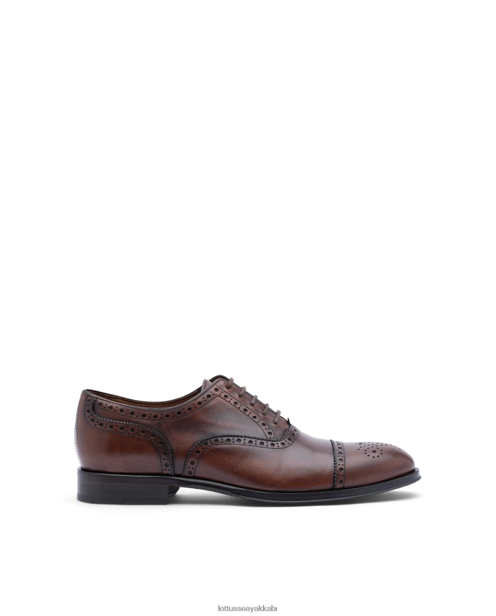 Lottusse lenox buzağıyı fırçalayın oxford B4Z64L139 ayakkabı kahverengi erkekler