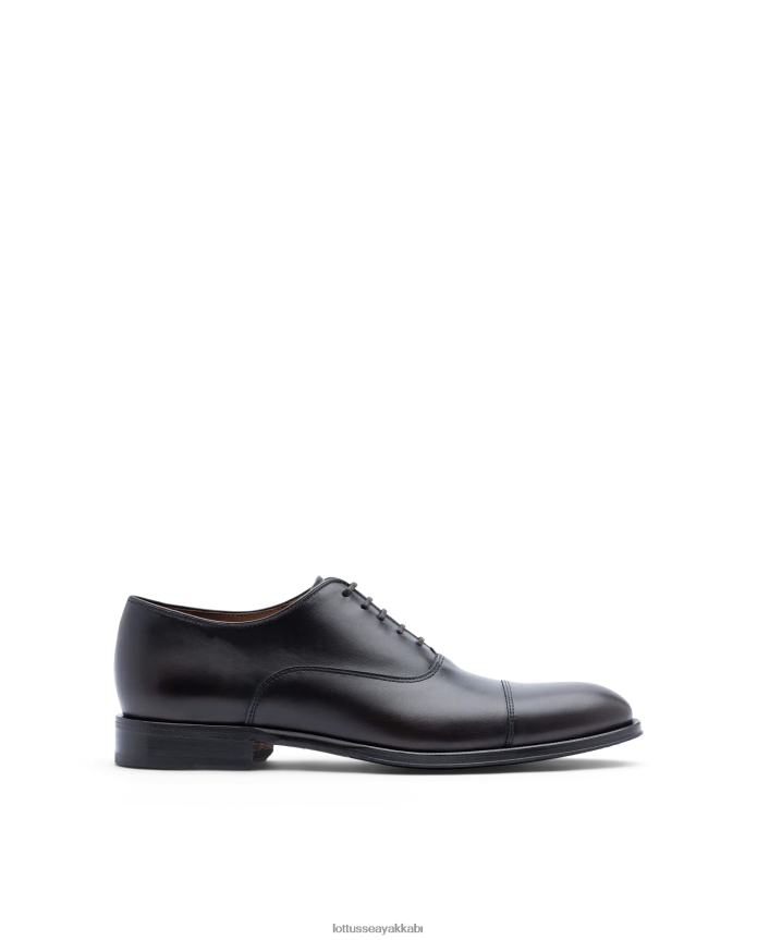 Lottusse lenox buzağıyı fırçalayın oxford B4Z64L9 ayakkabı mocha erkekler